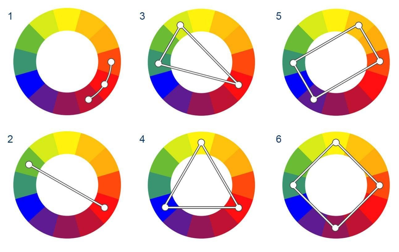 Цветовой круг для подбора палитры